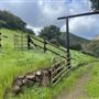 Canyon Ranch