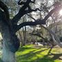 Canyon Ranch