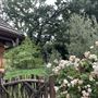 Canyon Ranch