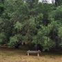 Franklin Canyon Park - Santa Monica Mountains Conservancy - SMMC