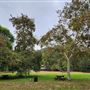 Franklin Canyon Park - Santa Monica Mountains Conservancy - SMMC