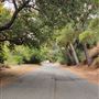 Franklin Canyon Park - Santa Monica Mountains Conservancy - SMMC