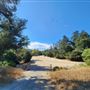Franklin Canyon Park - Santa Monica Mountains Conservancy - SMMC