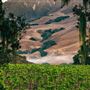 Santa Barbara Wine Country