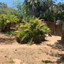 Los Angeles Zoo & Botanical Gardens - LA Zoo