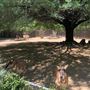 Los Angeles Zoo & Botanical Gardens - LA Zoo