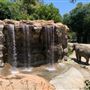 Los Angeles Zoo & Botanical Gardens - LA Zoo