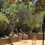 Los Angeles Zoo & Botanical Gardens - LA Zoo