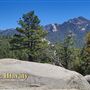 Idyllwild Nature Center - Forest