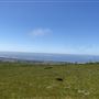 Rosko Ranch