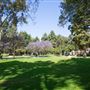 University of California, Los Angeles - UCLA