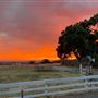 Petaluma Hill Farm