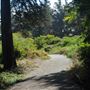 Presidio Trust - BRAC