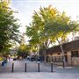 California Mid-State Fair - 16th DAA