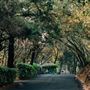 Meadowood Resort Napa Valley