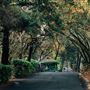 Meadowood Resort Napa Valley