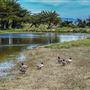 Parajo Dunes Resort Monterey Bay