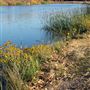 Kemper Campbell Ranch