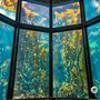 Monterey Bay Aquarium