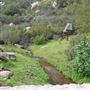 Stone Meadows Ranch