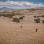 Rancho San Fernando Rey