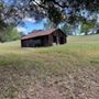 Olive Ranch