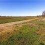 DLX Ranch