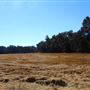 DLX Ranch