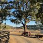 Alpine Ranch