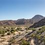 The Living Desert Zoo and Botanical Gardens