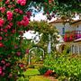 The Russian River Rose Company