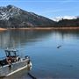 Shasta-Trinity National Forest, Shasta Lake Recreation Area