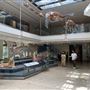 Museum of Natural History, Los Angeles