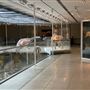Museum of Natural History, Los Angeles