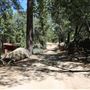 Camp Cedar Lake