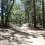 Camp Cedar Lake
