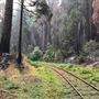 Yosemite Mountain Sugar Pine Railroad