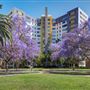 Park La Brea Community