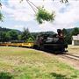 Roaring Camp Railroad
