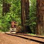 Roaring Camp Railroad