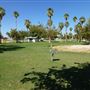 City of Blythe