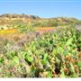 Wildwood Regional Park