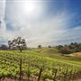 Landmark's Hop Kiln Estate