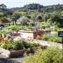 Quivira Vineyards
