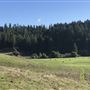 Browder Ranch