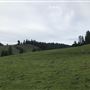 Browder Ranch