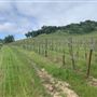 Halter Ranch