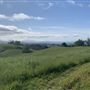 Halter Ranch