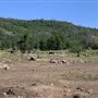 Wild Horse Sanctuary
