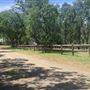 Wild Horse Sanctuary